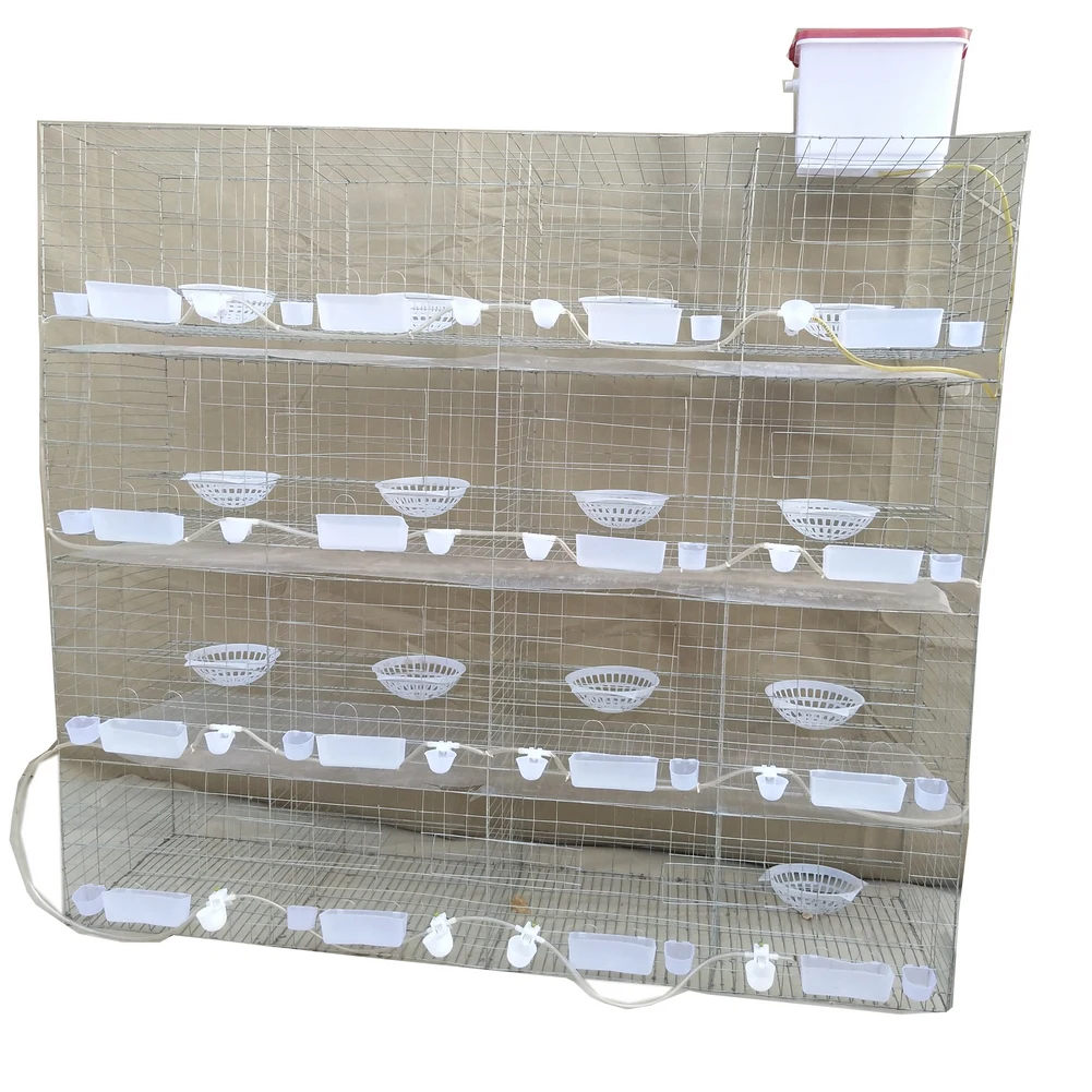 Shuxin New Type Steel Superior Fancy Pigeon Cages Racing Pigeon Breeding Cages for Sale