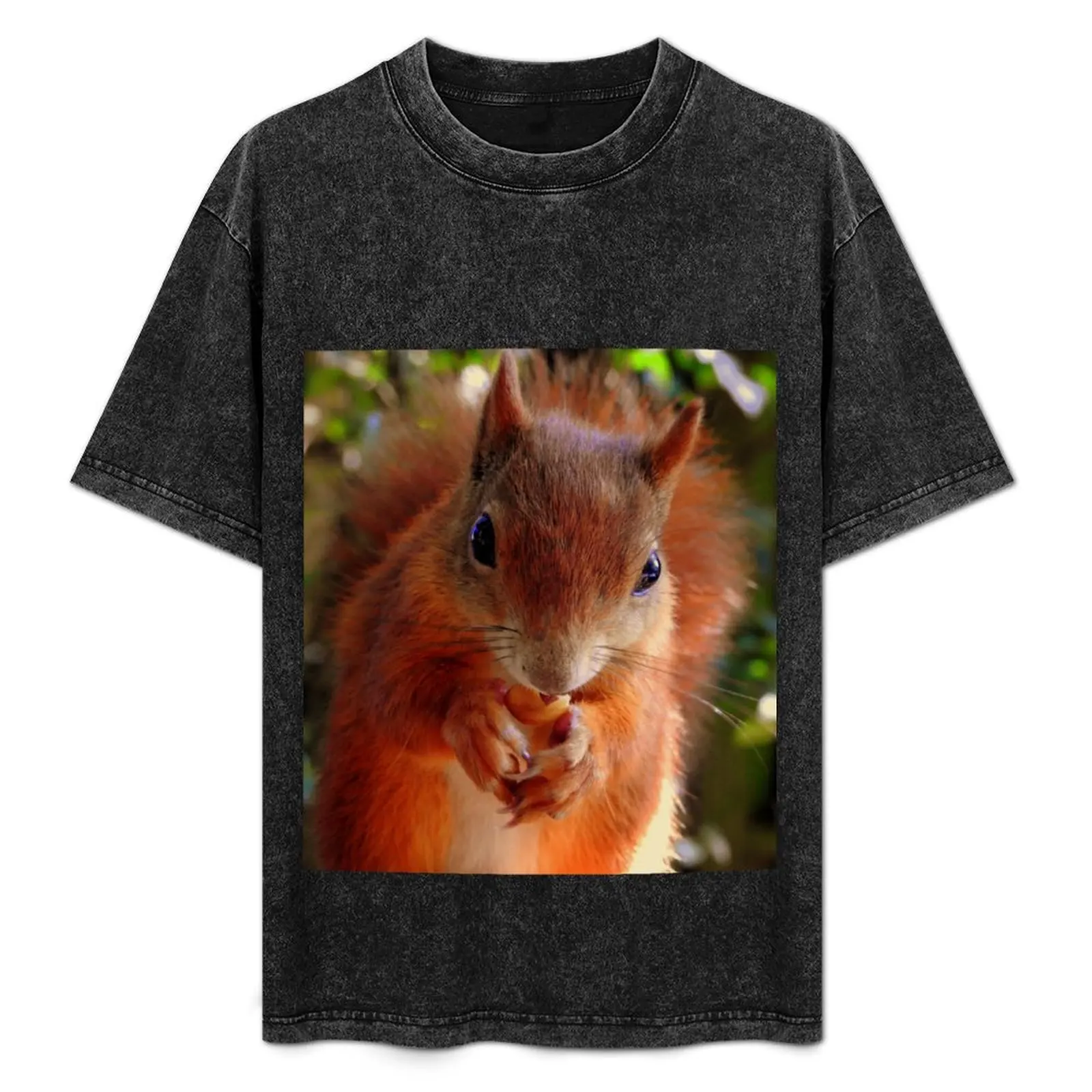 Red Squirrel Two T-Shirt man clothes vintage cute clothes for a boy men graphic t shirts