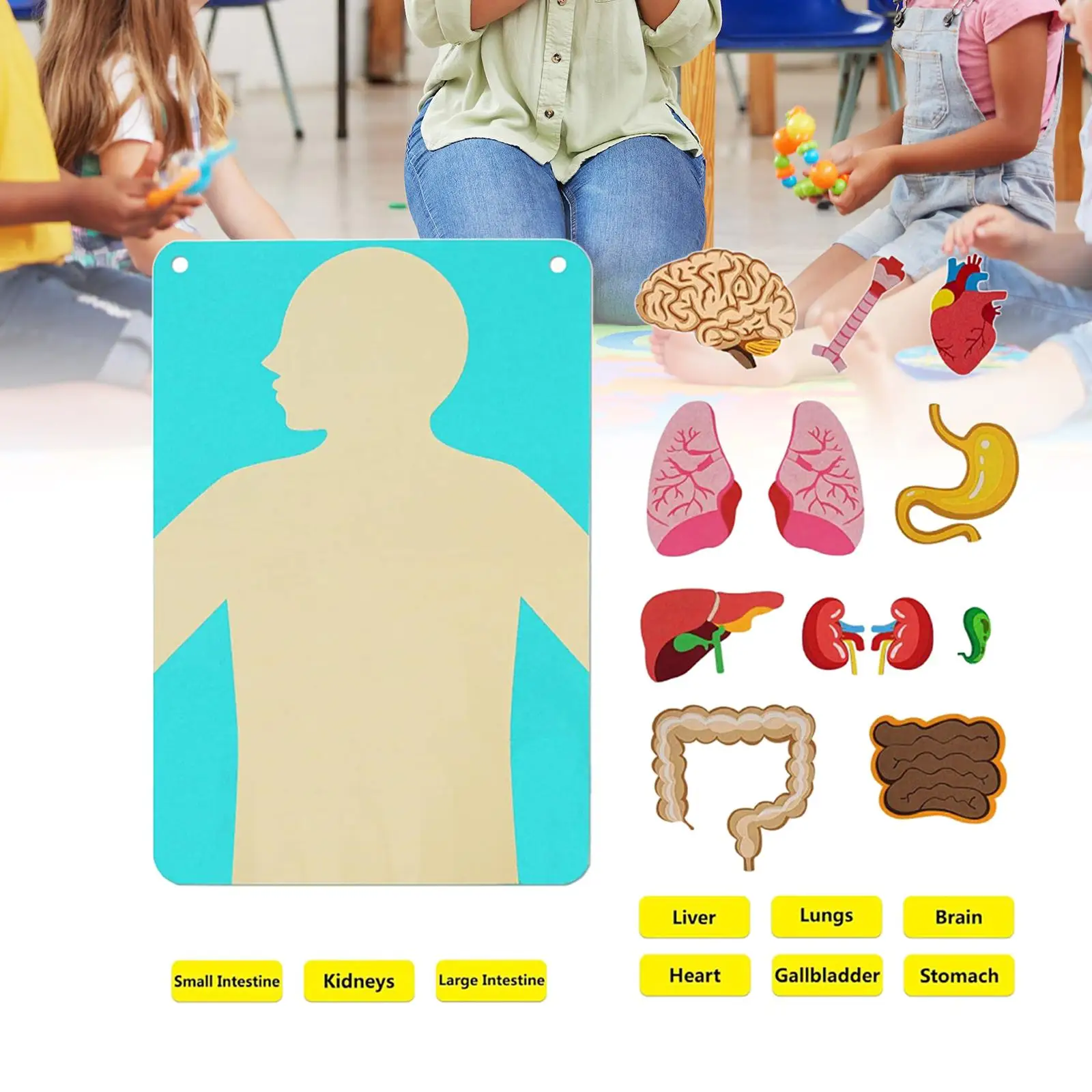 

Teaching Body Parts Felt Board Wall Hanging for 3-5 Kindergarten Boys Girls