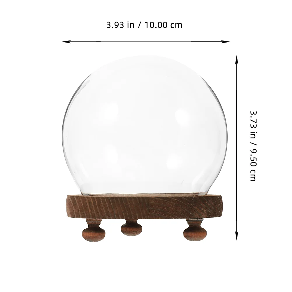 Ornaments Spherical Glass Cover Decoration Seashell Globe Globes Small Display Case