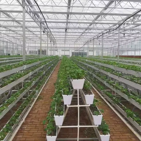 

Customized greenhouseHigh Quality PO PE Agricultural Film Greenhouse All Seasons Suitable