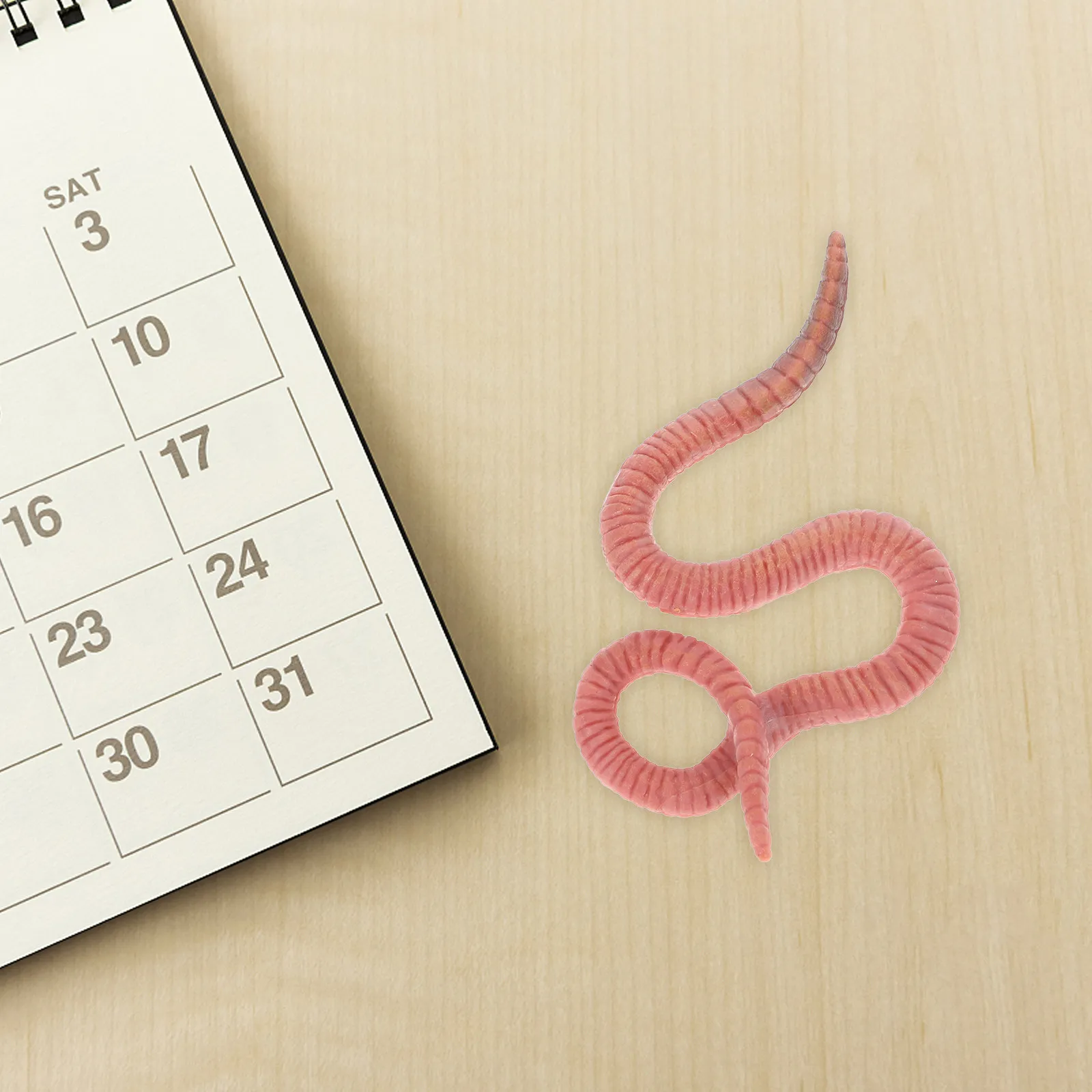 

Vivid Earthworm Adornment Lightweight Sturdy Plastic Simulation Insect Sculpture for Childrens Room Nature Theme Decor Stem