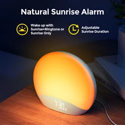 REACHER  Sunrise Alarm Clock Table Clock Dimmable with 3 Ring 8 Nightlight 26 Sound Countdown Timer Night Light Sunlight Wake Up