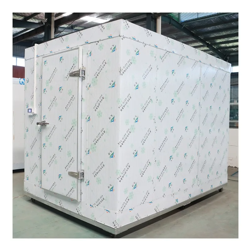 

Room Refrigeration 20ft Cold Storage Room 5ftx5ftx4ft Cold Room
