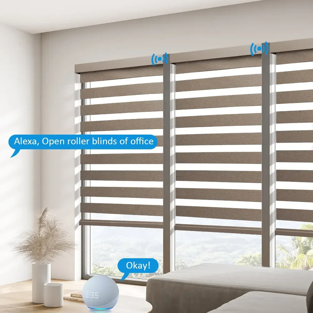 Customized Blackout Smart Tuya Google Wifi Control Exchangeable Motor Dual Layer Roller Zebra Blinds For House