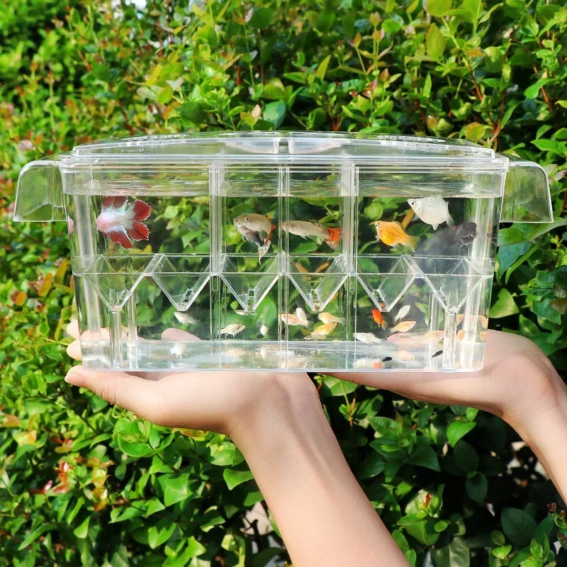 

4 Rooms High Clear Fish Breeding Box Acrylic Aquarium Breeder Box Double Guppies Hatching Incubator Isolation