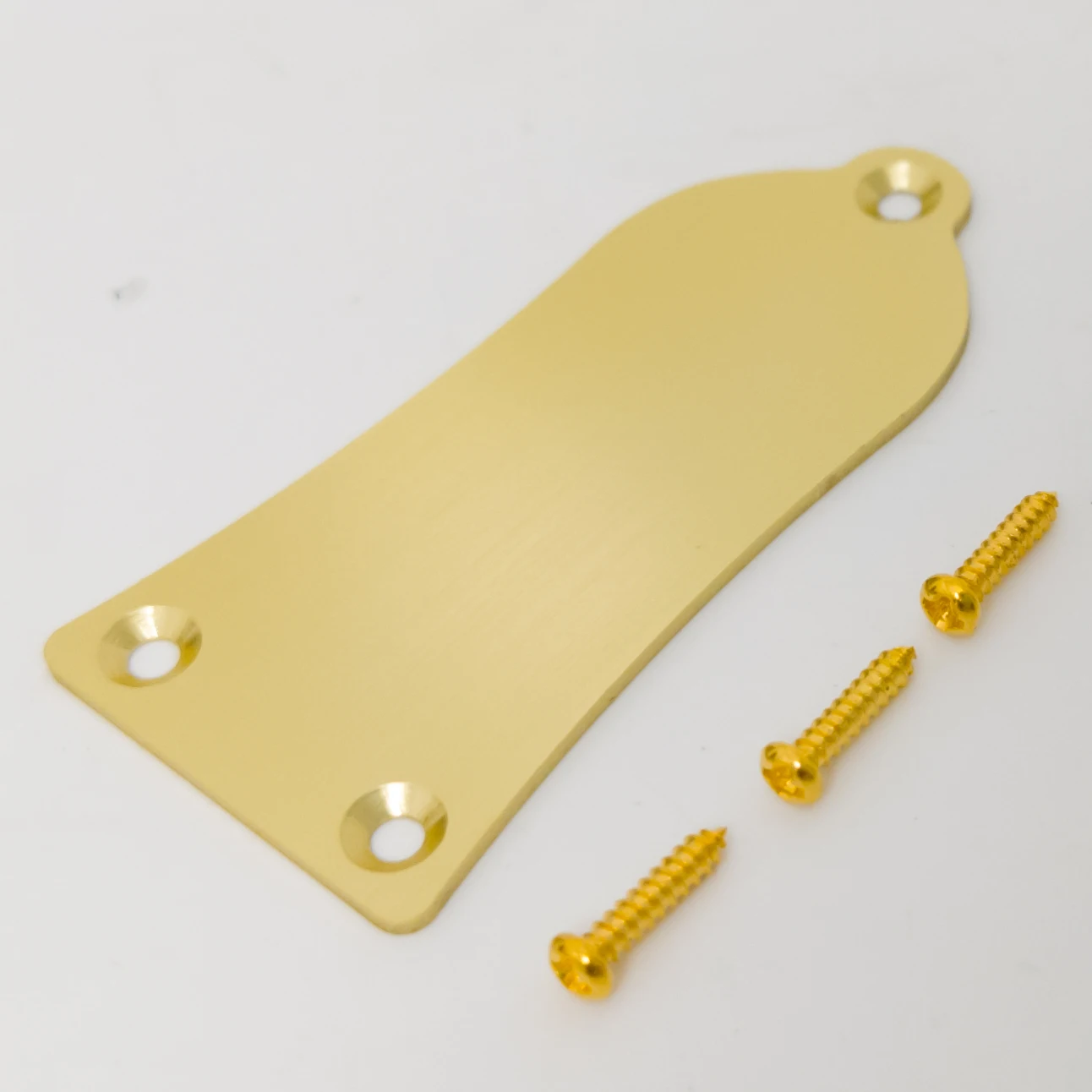 Electric Guitar Truss Rod Cover Plate Aluminum - 2-Hole/3-Hole Metal Replacements for LP, ST, SG, ESP, Jack,Ibz-RG & Fly V Style