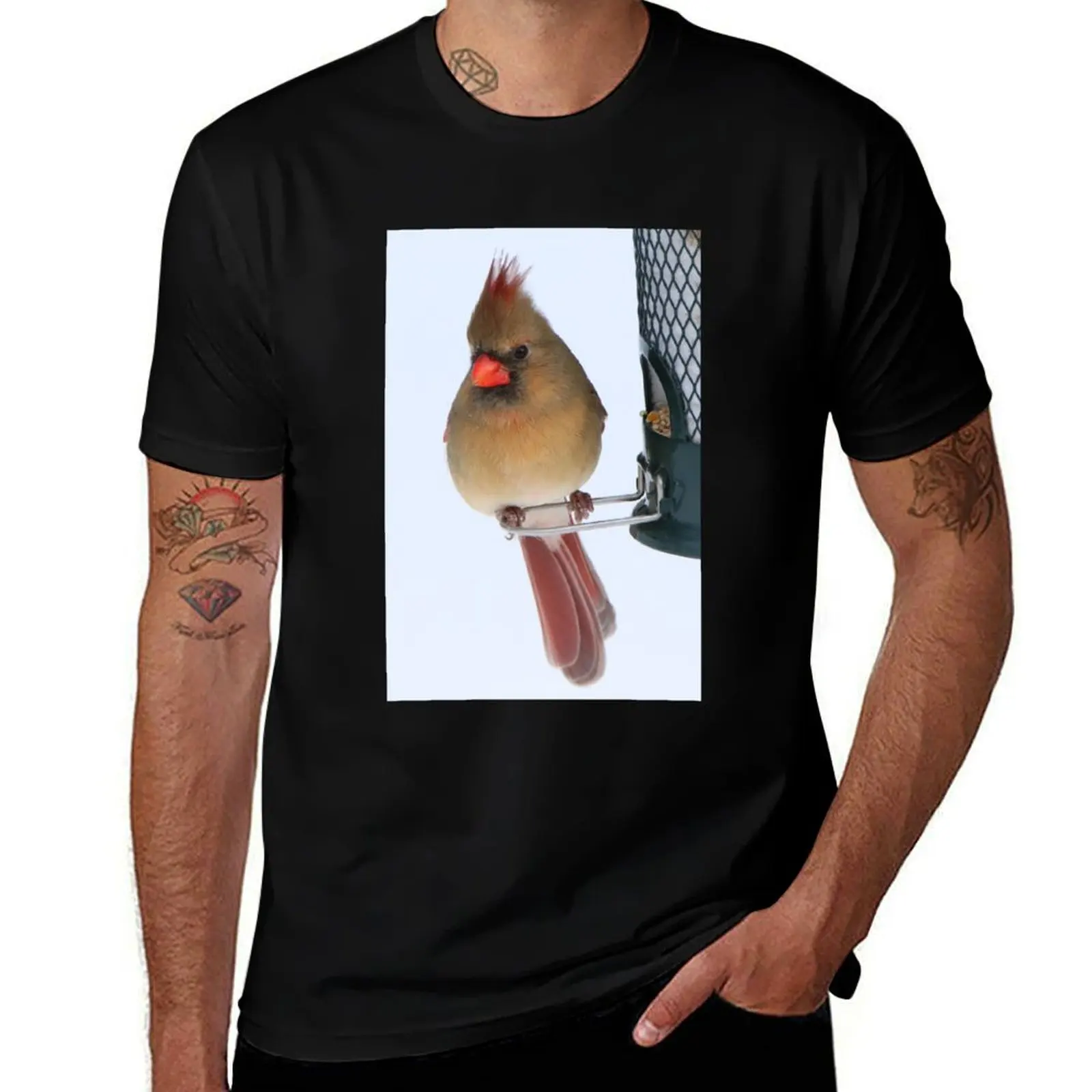 Northern Cardinal T-Shirt Basic Daily Outfit Short Sleeve Tee T-Shirt