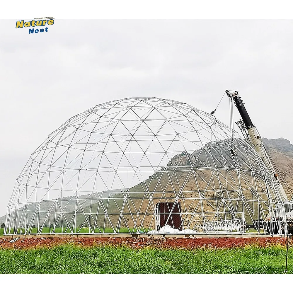 Large Spherical Commercial Exhibition Geodesic Dome Tent Luxury Camping Dome Transparent Sky Tent Outdoor Tent Event Rental Yoga