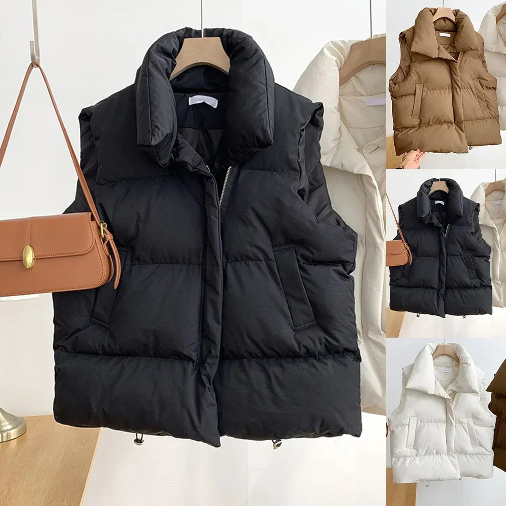 Elegant Stand Collar Outerwear Autumnwear Casual Outerwear L M Autumn Fashion Brand New Condition Elegant Style