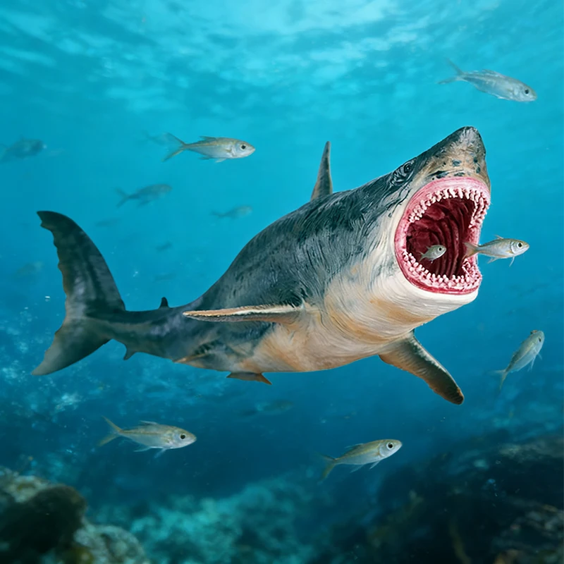 شخصية سافاج مارين سي لايف ميغالودون، حيوانات المحيط الكلاسيكية، نموذج سمكة القرش الكبيرة، مجموعة من البولي فينيل كلوريد، هدية للأطفال #2