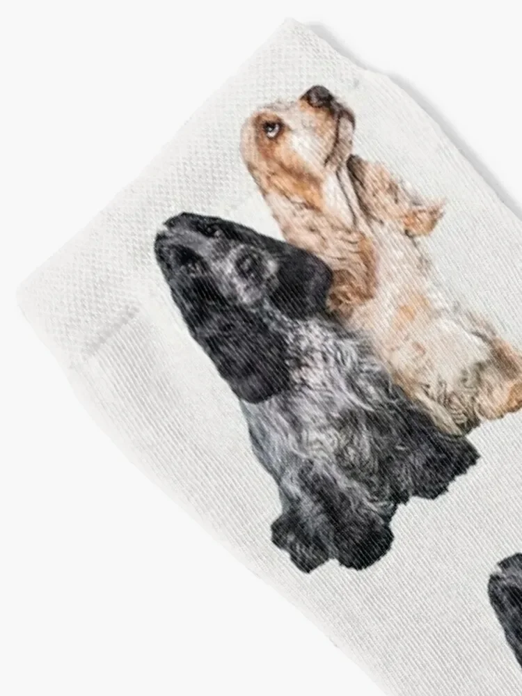 Cocker Spaniel Blue Roan Orange Roan Cute Puppy Dogs Socks football cotton Socks Male Women's