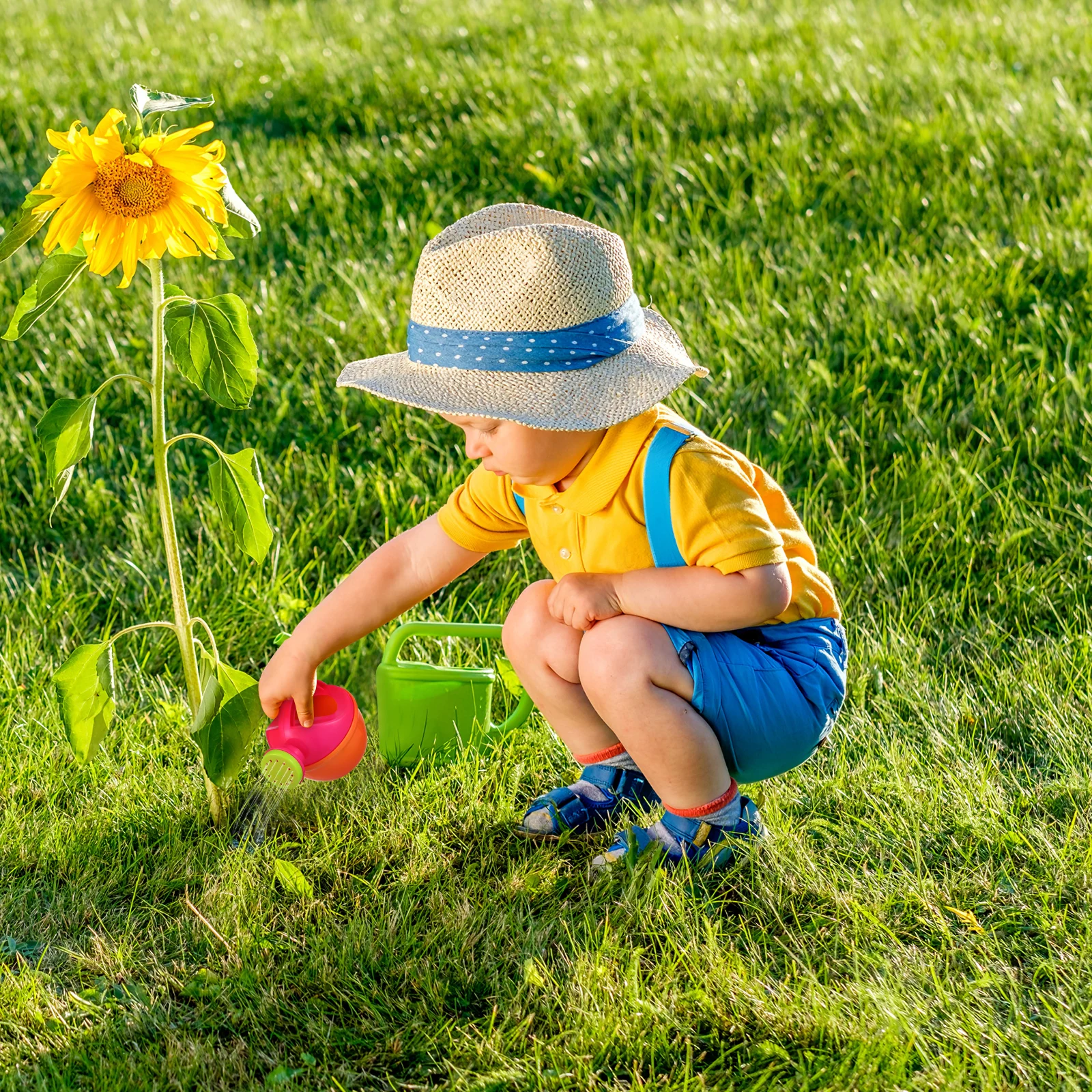 

5pcs Kids Watering Can Set Children Gardening Tools Plastic Beach Toys Lightweight Compact Travel Sand Toys Small Kettle Random