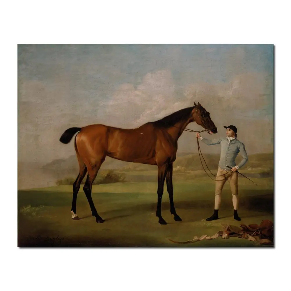 

Horse Paintings Molly Long Legs George Stubbs High quality Hand painted