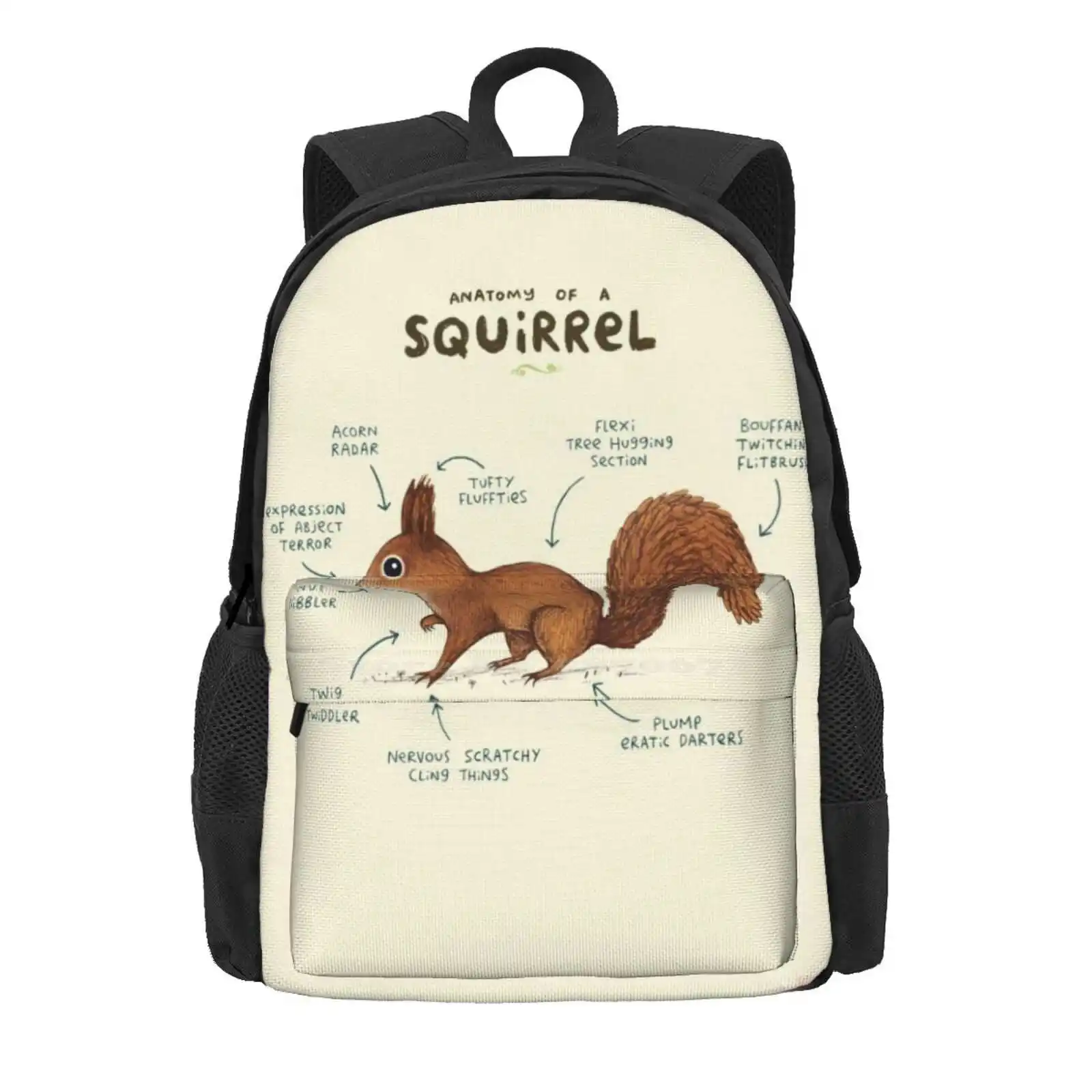 Anatomy Of A Squirrel Hot Sale Schoolbag Backpack Fashion Bags Anatomy Red British Tail Squirrels Chipmunk Ferret English