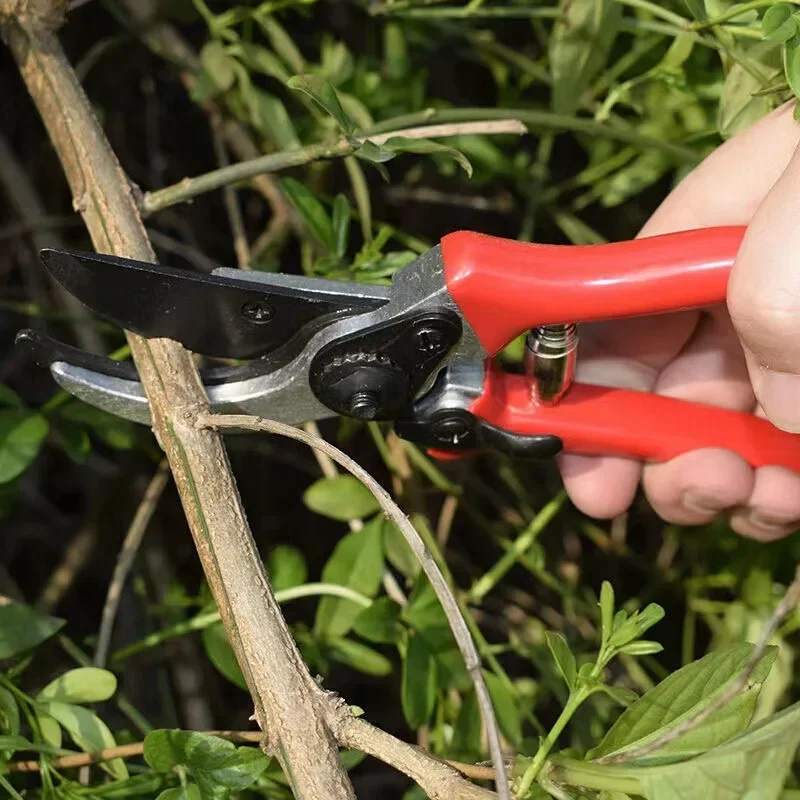 High-carbon Steel Gardening Scissors Grafting Tool Fruit Tree Pruning Shears Bonsai Pruners Garden Shears Secateurs