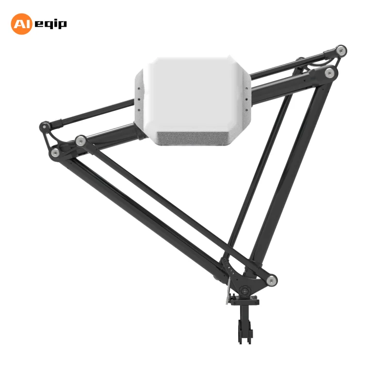 Industrial Robot Arm  Packing Machine Production Line Spider Hand Robot Packer  for Case Packer