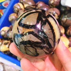 Natural septarian sphere septarium Natural Dragon Stone Septarium Fossil Crystal Sphere Ball Healing