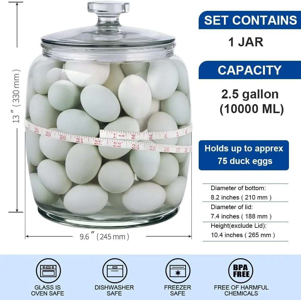 2.5 Gallon Glass Jars with Lids, Large Cookie Jars with Wide Opening, 1 Pack Glass Storage Jars with Lids for Kitchen