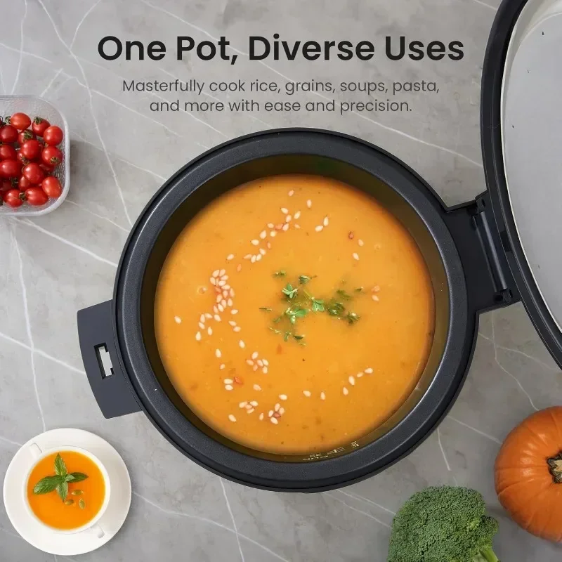 Cuociriso commerciale e scaldavivande con coperchio incernierato, pentola interna antiaderente, esterno in acciaio inossidabile