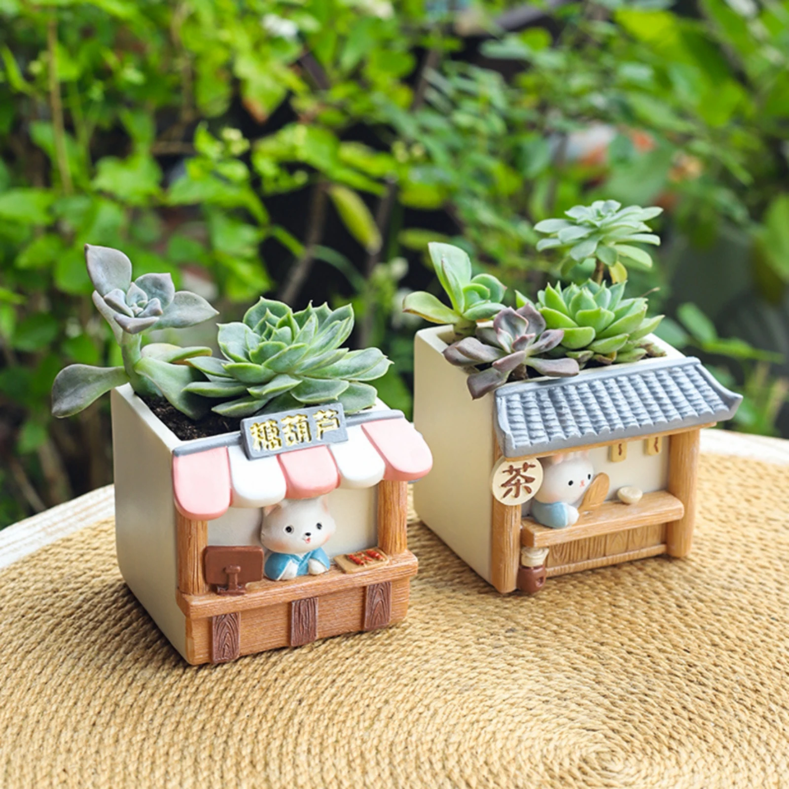 Pot Tanaman Mini Terbuka di At - Succulent Planter Pot ulasan dan harga