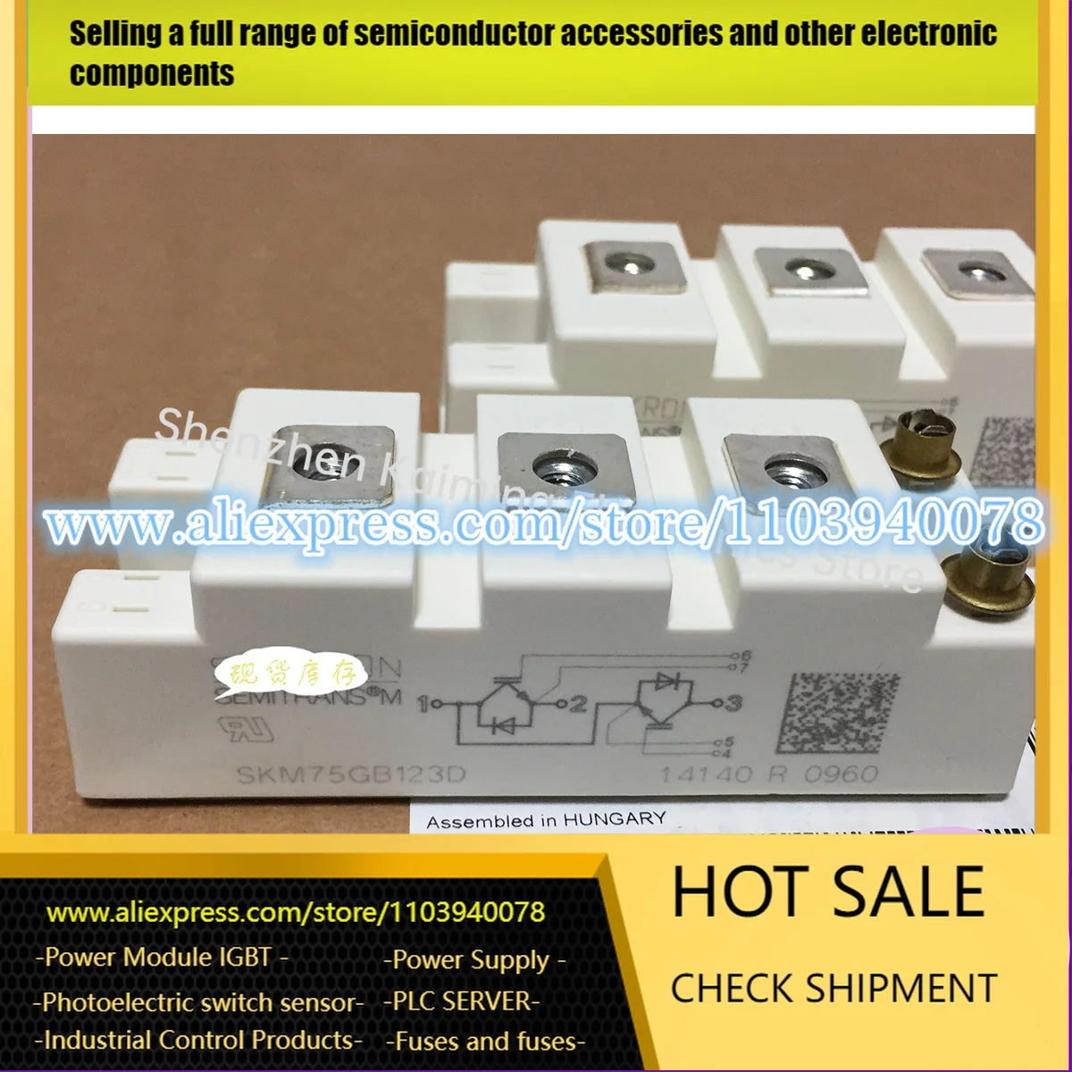 

НОВЫЙ оригинальный МОДУЛЬ SKM75GB12V SKM75GB123D SKM75GB128D SKM75GB121D SKM100GB12V SKM150GB12V SKM150GB12T4 SKM100GB12T4 в наличии