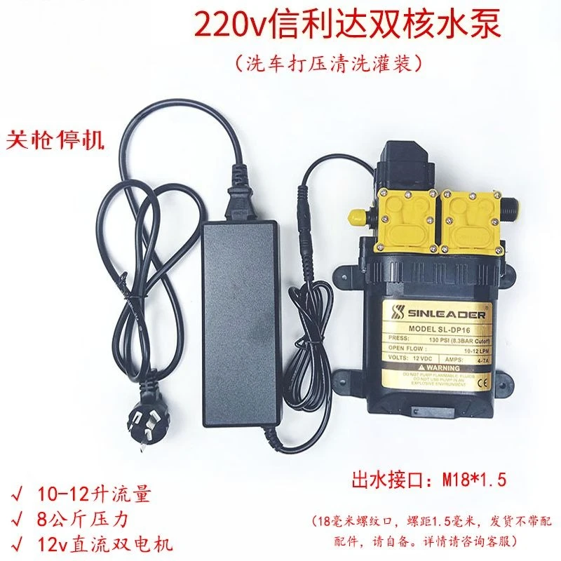 12V electric high pressure water pump double core diaphragm pump fruit tree medicine washing car watering vegetable water pump