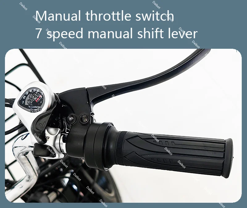 500W 48V Faltbares Elektro-Fatbike für Erwachsene mit Korb, 20 Zoll 3-Rad Elektro-Lastendreirad, faltbar, herausnehmbarer Akku – Detail 10