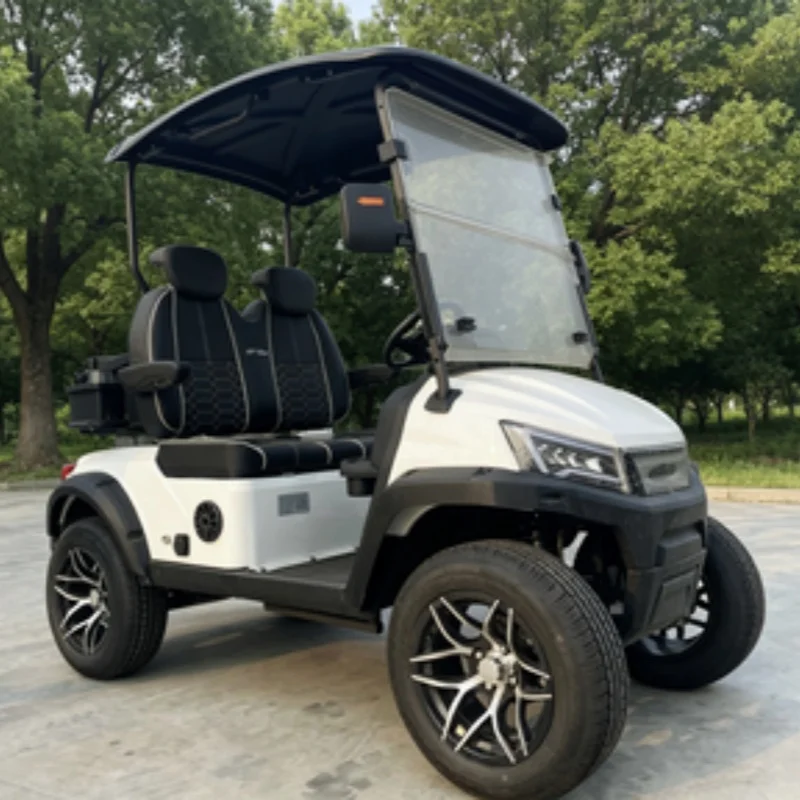 Custom Chinese Golf Buggy Car 60/72V Lithium Electric Golf Cart Seats With Armrests Gear Adjustment Free Custom Color
