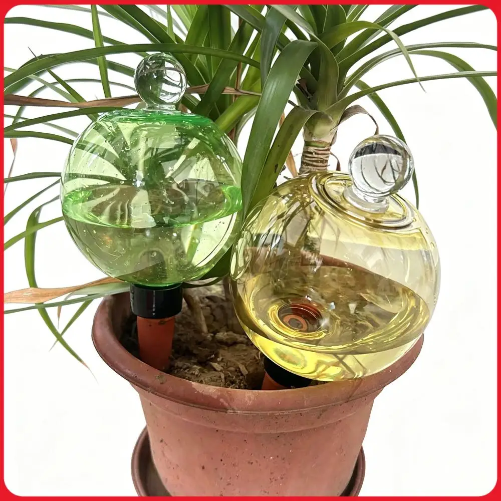 Self Watering Globes Top Fill Automatic Plant Watering Globes Automatic Houseplant Drip Irrigation for Vacation Plant Savers