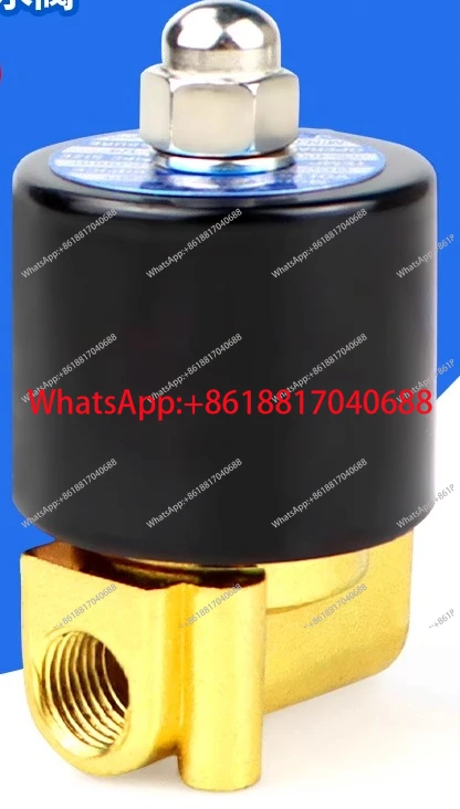 

2W-025-08 Электромагнитный клапан, универсальный водяной пар, двухпозиционный двухходовой электромагнитный клапан, нормально закрытый