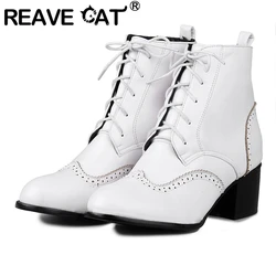 REAVE CAT Office-Lady Ankle Boots Round Toe Block Heels Lace-up Solid Large Size 33-50 Black White Brown Winter Velet Fur S2681