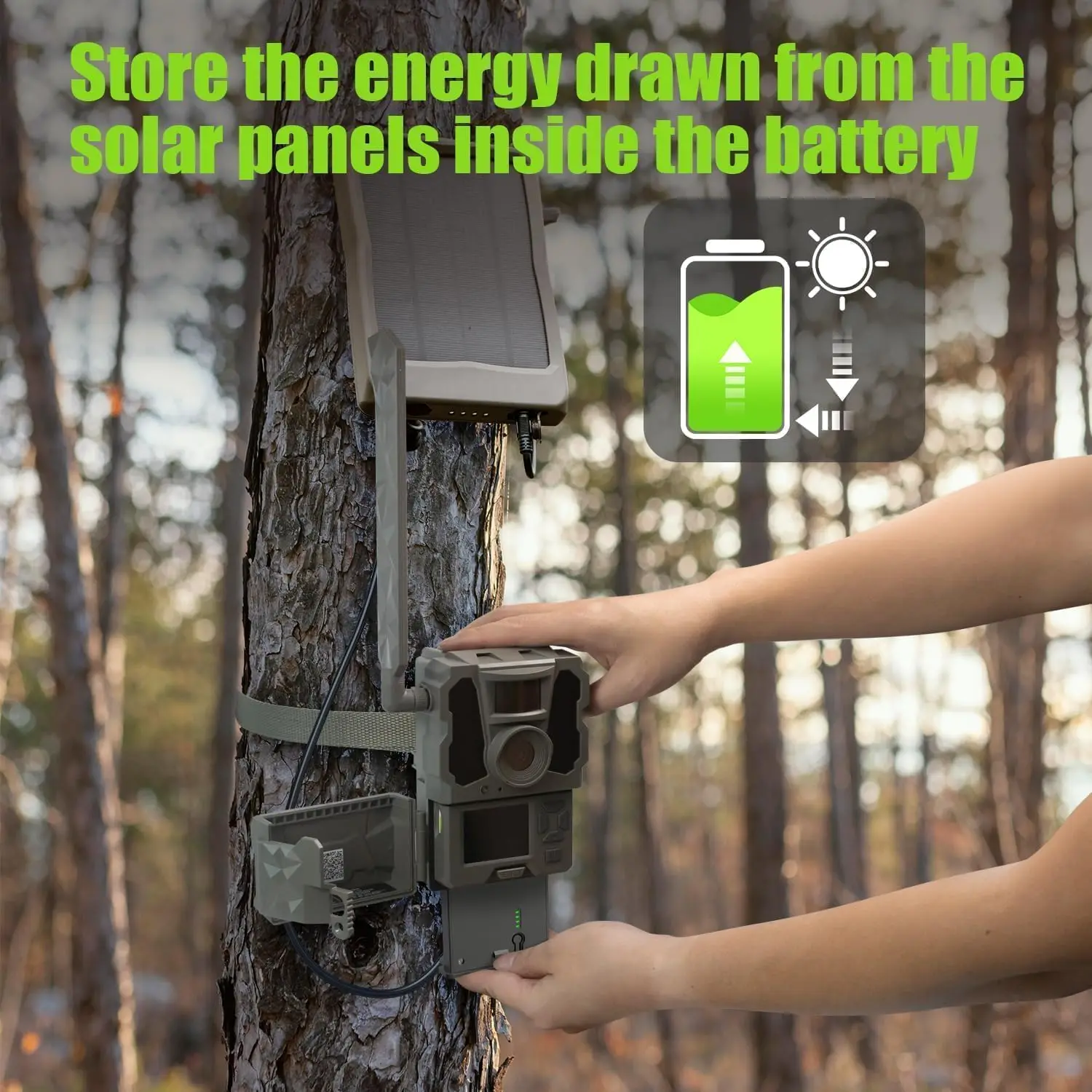 Lithium Battery Pack for Cellular Trail Cameras, 3-Pack (New)