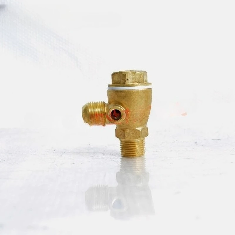 

2104100085 original 1/2 "check valve VA65, HTA65, FG07 and other piston air compressors