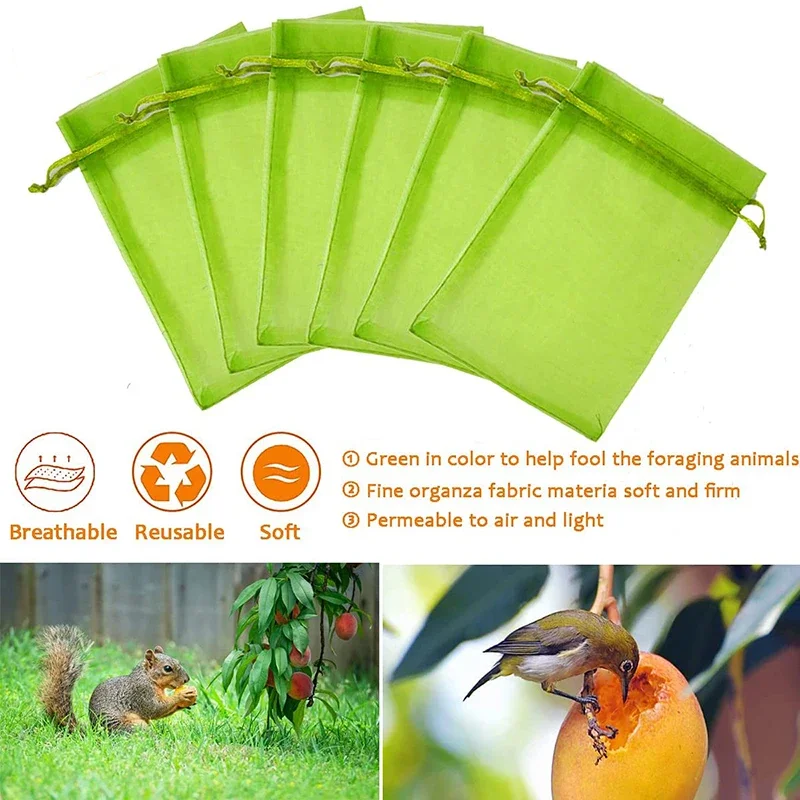 100 pz uva fragola sacchetti di protezione della frutta sacchetto di rete con coulisse da giardino sacchetti di rete di verdure Anti-uccello per frutteto agricolo