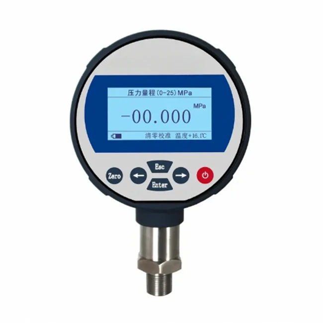 60bar Pneumatic Hydraulic Precision Digital Standard Pressure Test Gauges  Reference  Gauge Indicator Manometer