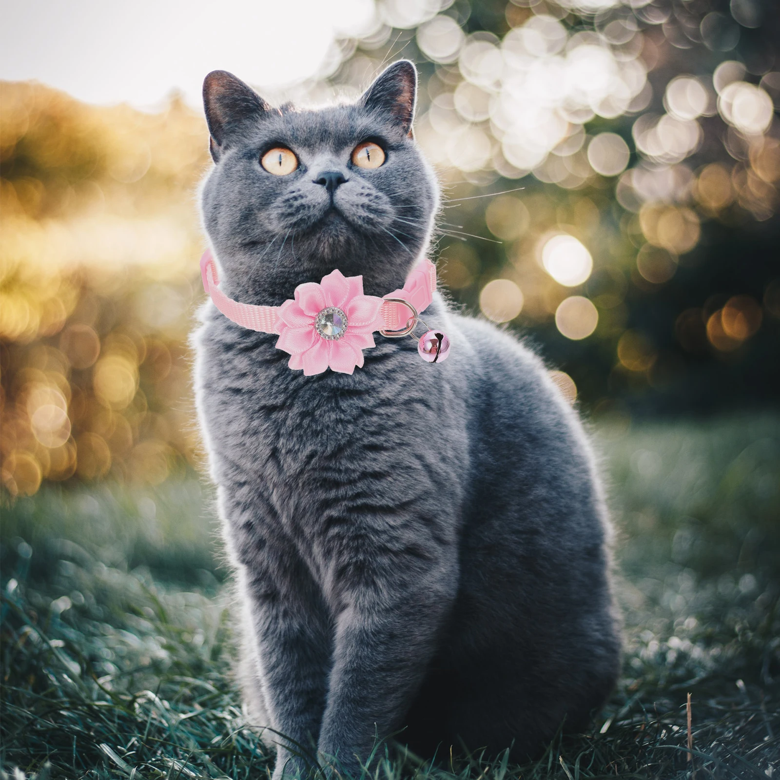 

6pcs Pet Flower Collar Neck Chain Decoration for Kitten Cat Comfortable Photo Prop PVC Durable Safe Daily Wear Parties Dog