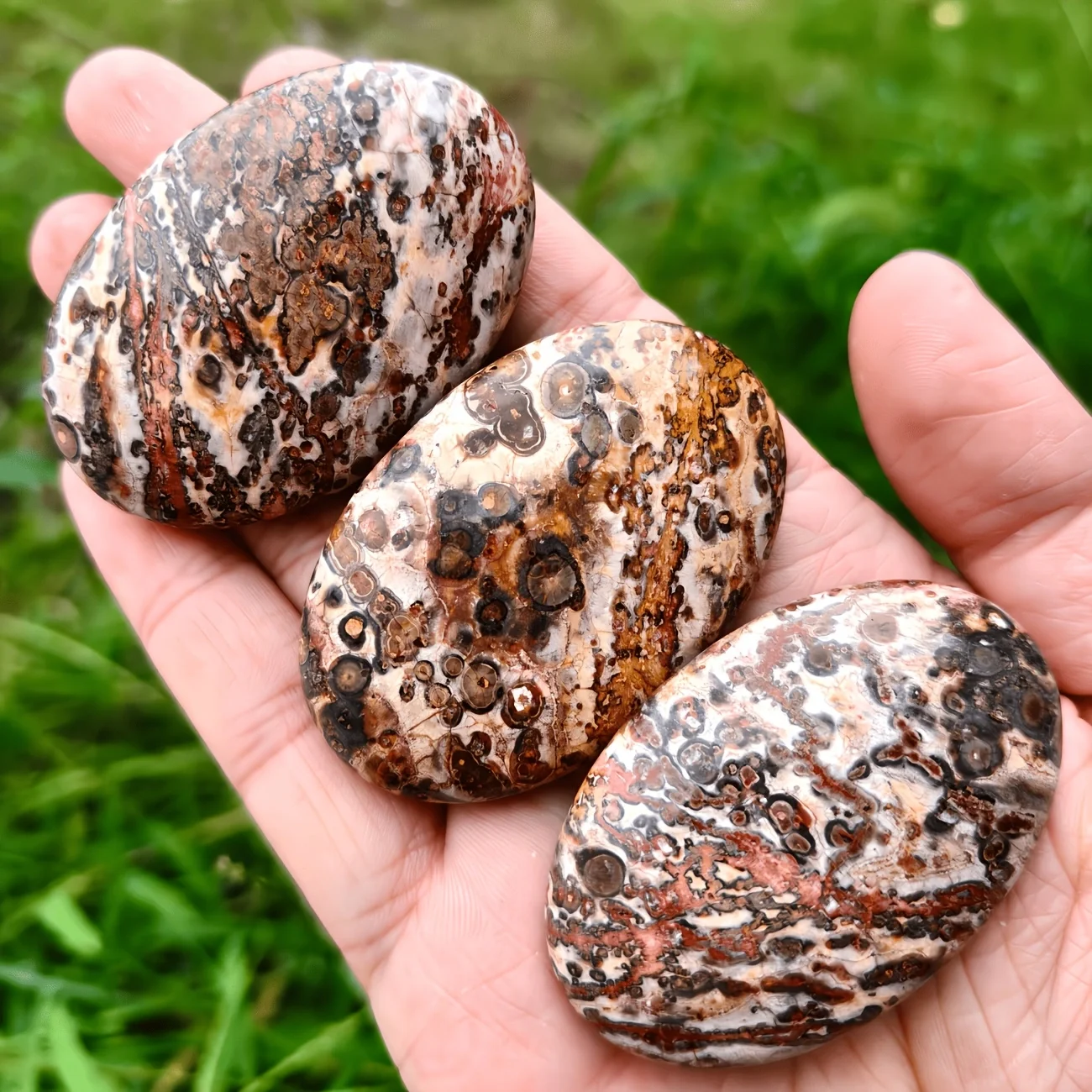 Leopard Skin Jasper, Natural Oval Gemstone, Hand-polished decorative stones with red leopard speckles, Smooth natural stones