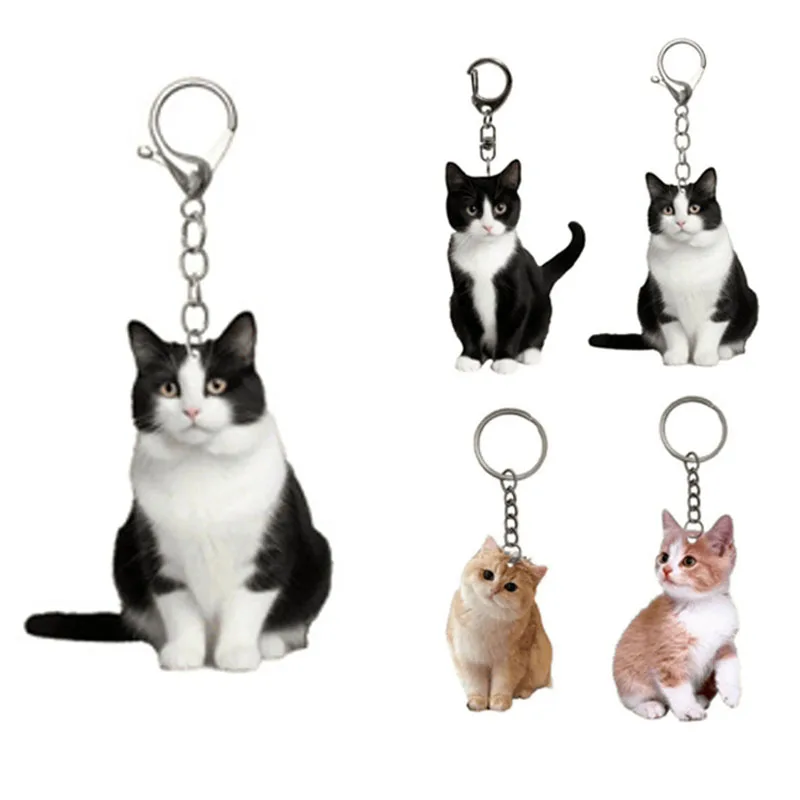 yZ[z킢AN捕LL[z_[fGȓy_gL[OpobNpbNANZT[Mtg