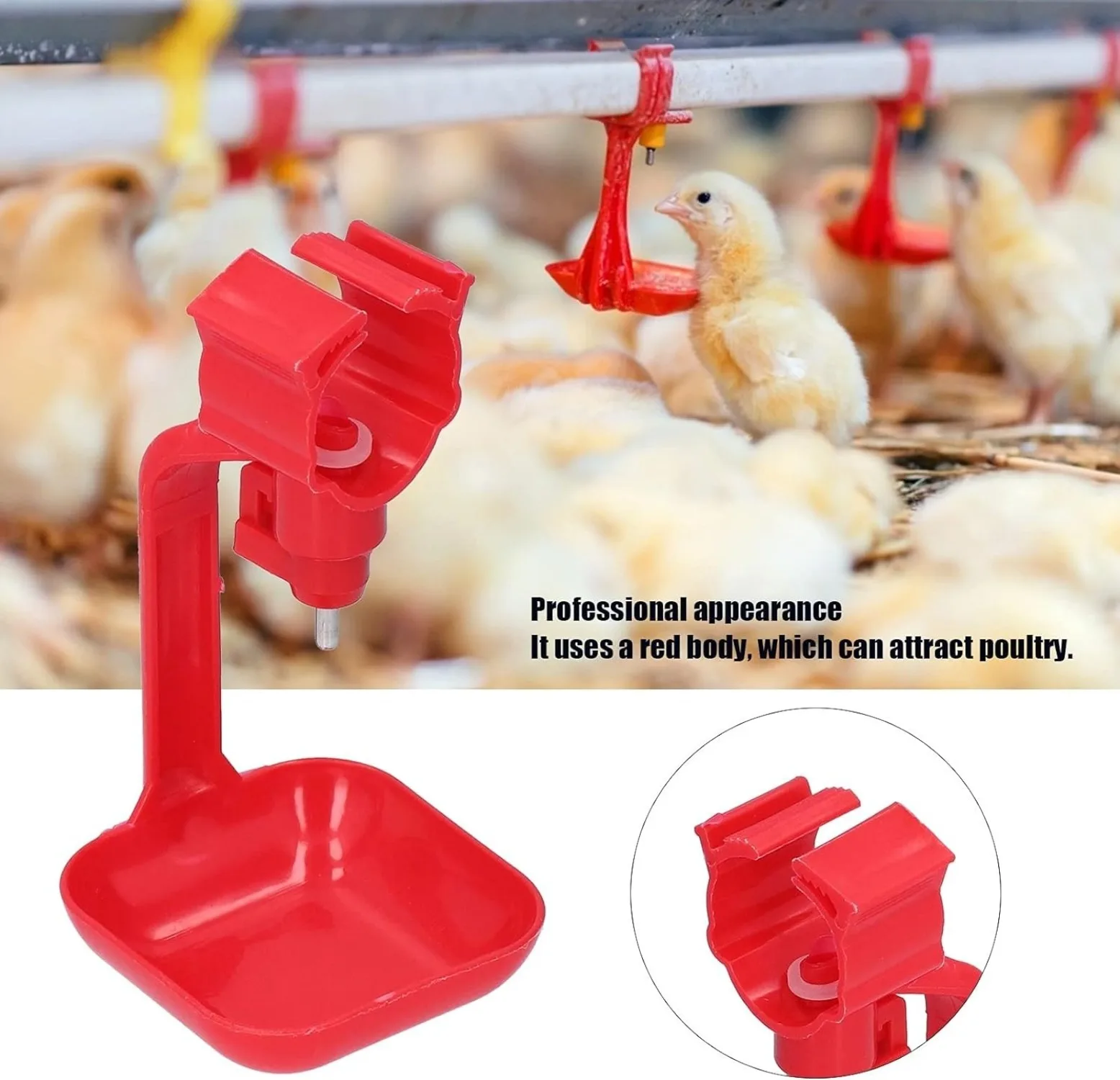 

Automatic PP Plastic Chicken Water Bowl, Drinking Fountain, Poultry Bowl, Chicken Water Cup