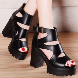 Fashion Sandals 2024 Spring/Summer New High Heel Shoes Cool Boots Slope Heel Fish Mouth Hollow Versatile Women's Sandals