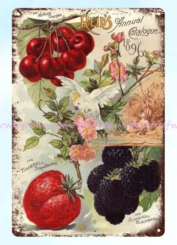 1896 Reid's Cherries strawberries blackberries fruit grower metal tin sign