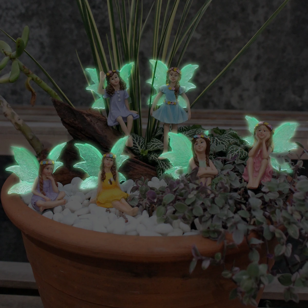 6pc Night Light Wings Flower F - Bonsai Garden World review and price