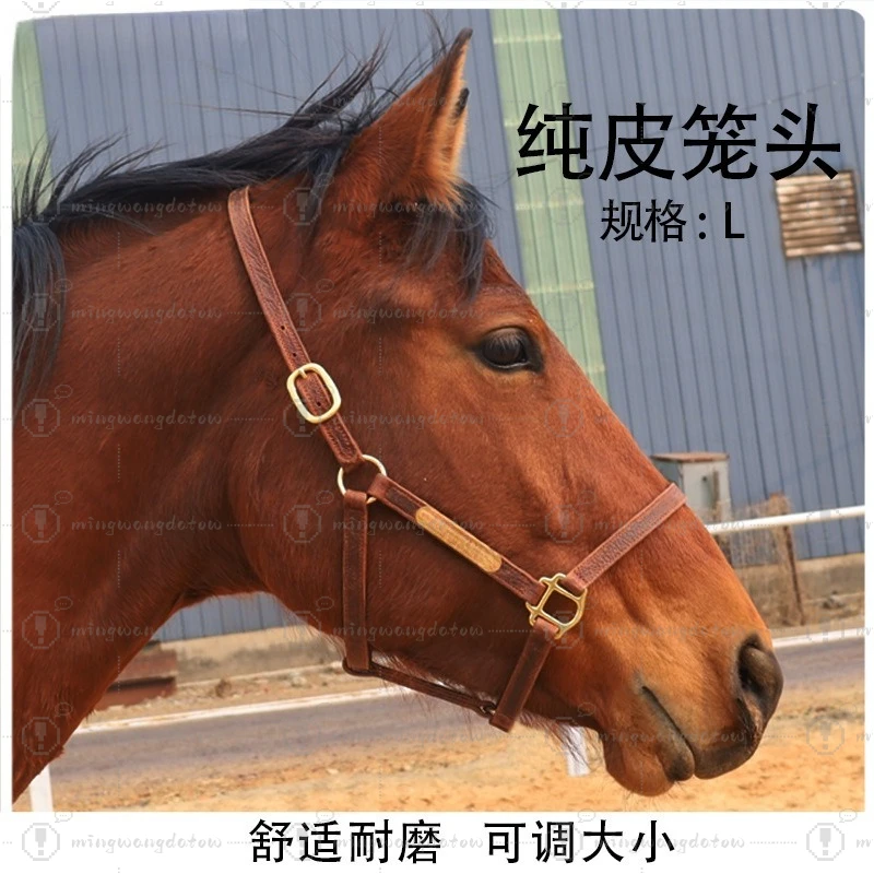 Pure leather bridle equestrian supplies wear-resistant and durable adjustable size pony harness faucet