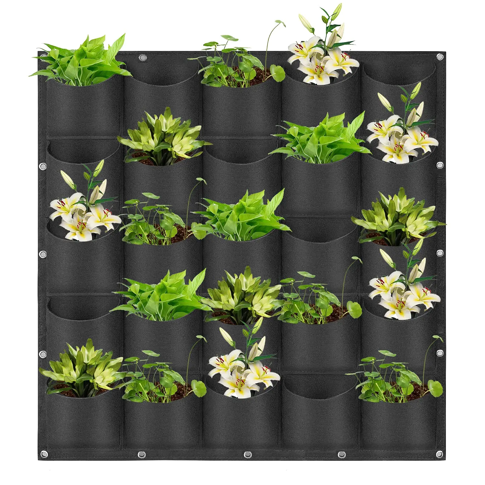 49 Taschen hängende Pflanz beutel, hängende vertikale Wand pflanzen pflanzen wachsen Taschen, Kräuter garten Pflanzer Outdoor Indoor wachsen – Detail 7
