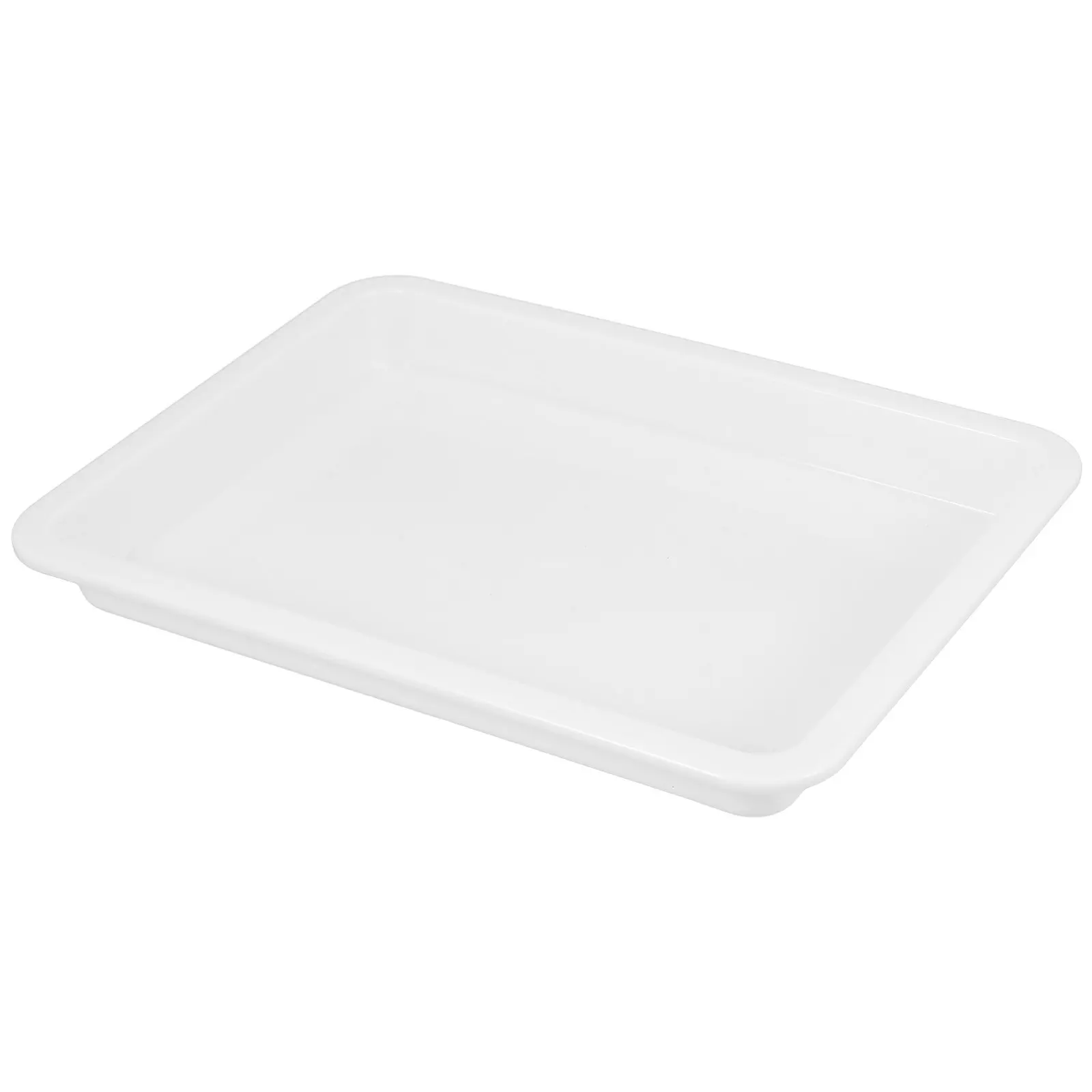 

Multi-Functional Laboratory Tray 2.5cm Deep Chemical Reagent Plate Plastic Storage Tray Experiment Organizer for Educational Use