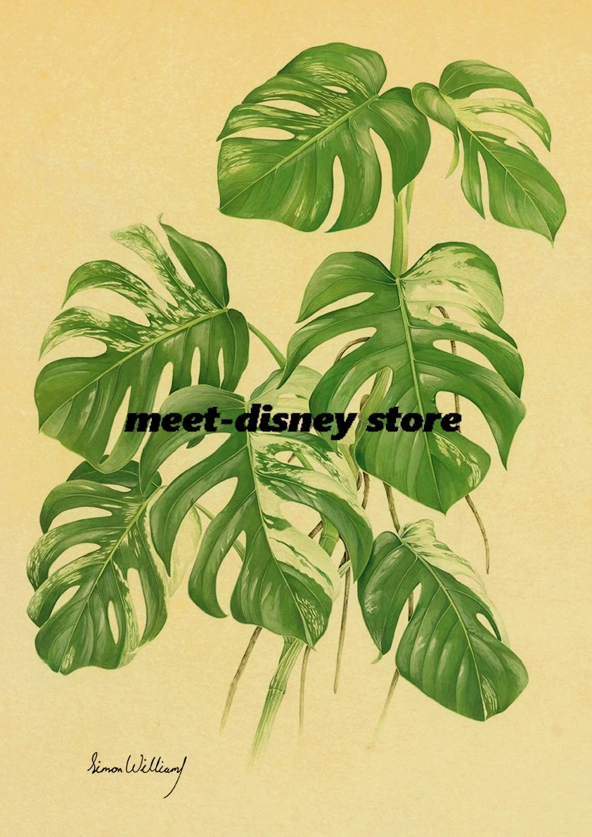 Posters Green Plant Leaves Indoor Aesthetic Minimalist Casual Art Living Room Cafe Modern Kraft Paper Print Bar Poster Gift