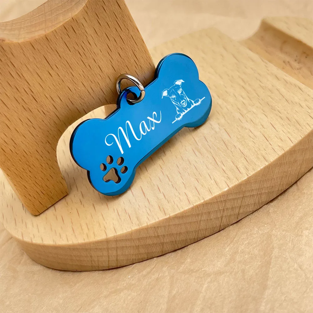 Personalized Pet ID Tags Stainless Steel Engraving Puppy Anti-lost Collars Tag Dog Cat Name Pets Accessories Customized Name