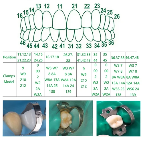 Imagen 2 del producto Abrazaderas de dique de goma de acero inoxidable de tamaño 50 para aplicaciones de ortodoncia y restauración endodóntica de odontología