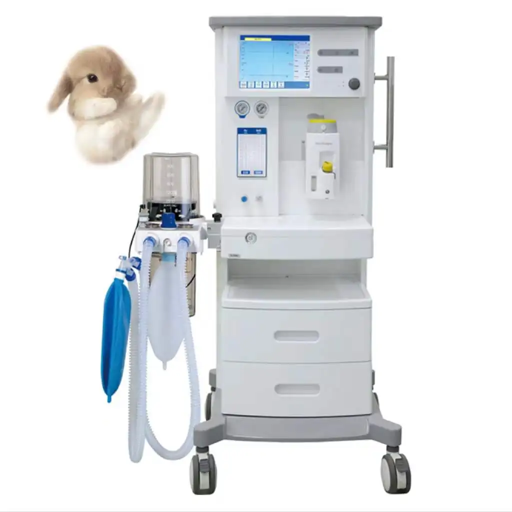 Hospital clinic Vet Veterinary and Human portable Anesthesia Machine DM6A